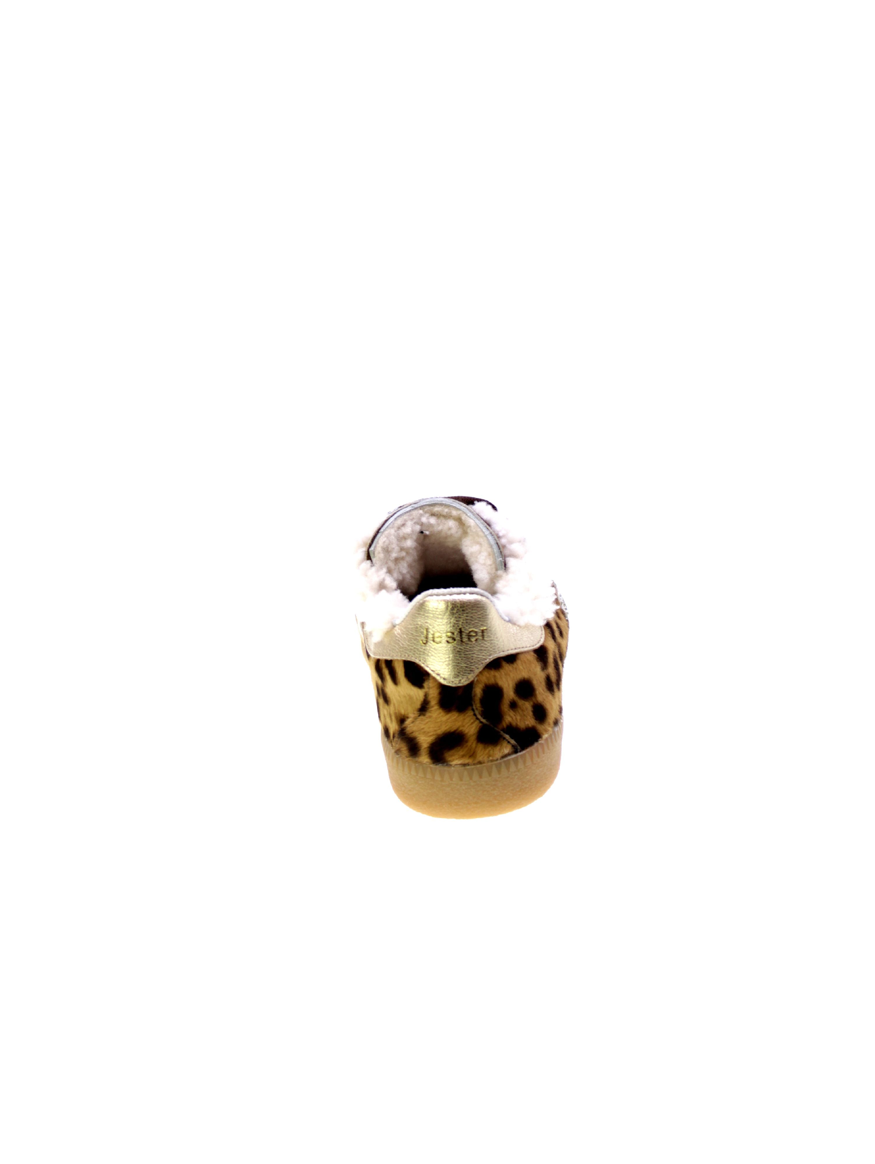 image_250304_5.jpg
