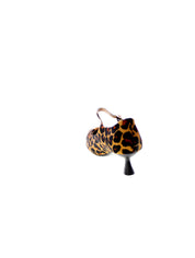 image_92164_5.jpg