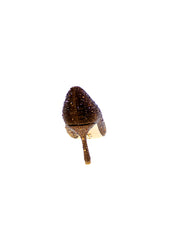 image_94745_5.jpg
