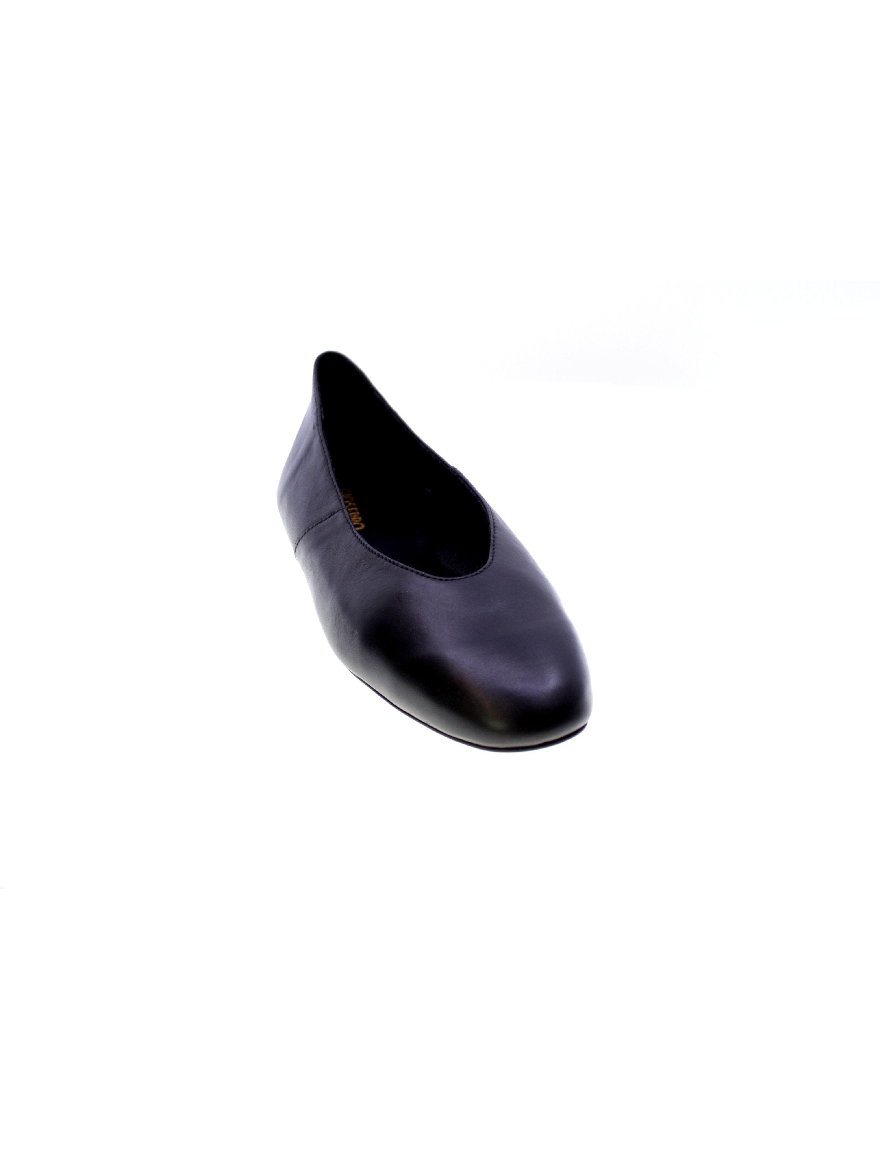 image_95260_2.jpg